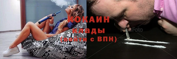 прущие грибы Дмитров