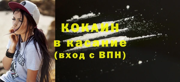 прущие грибы Дмитров