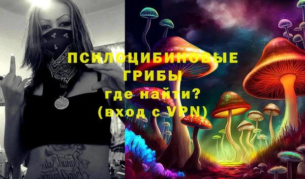 мяу мяу мука Елабуга