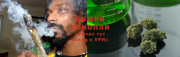 прущие грибы Дмитров
