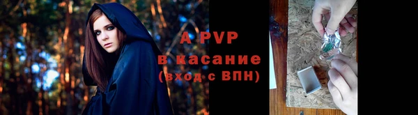 кокс Дмитриев