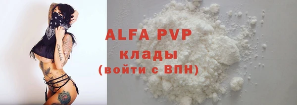 прущие грибы Дмитров