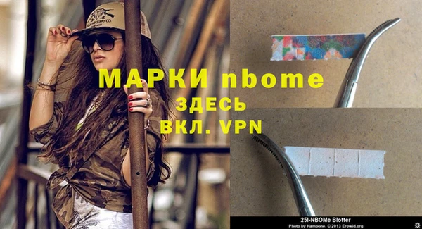 прущие грибы Дмитров