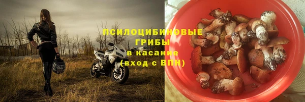 прущая мука Дмитровск