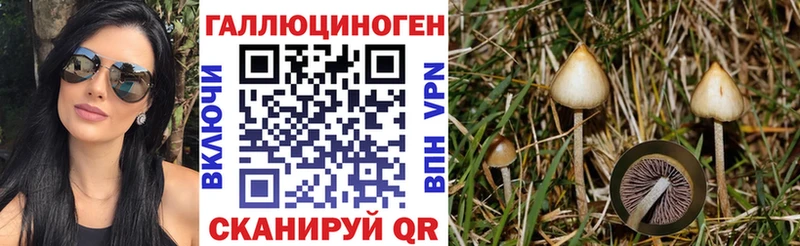 Псилоцибиновые грибы мицелий  ссылка на мегу зеркало  Рубцовск 
